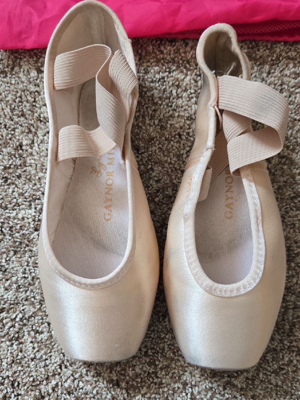 Gaynor Minden Lyra Pointe Shoe